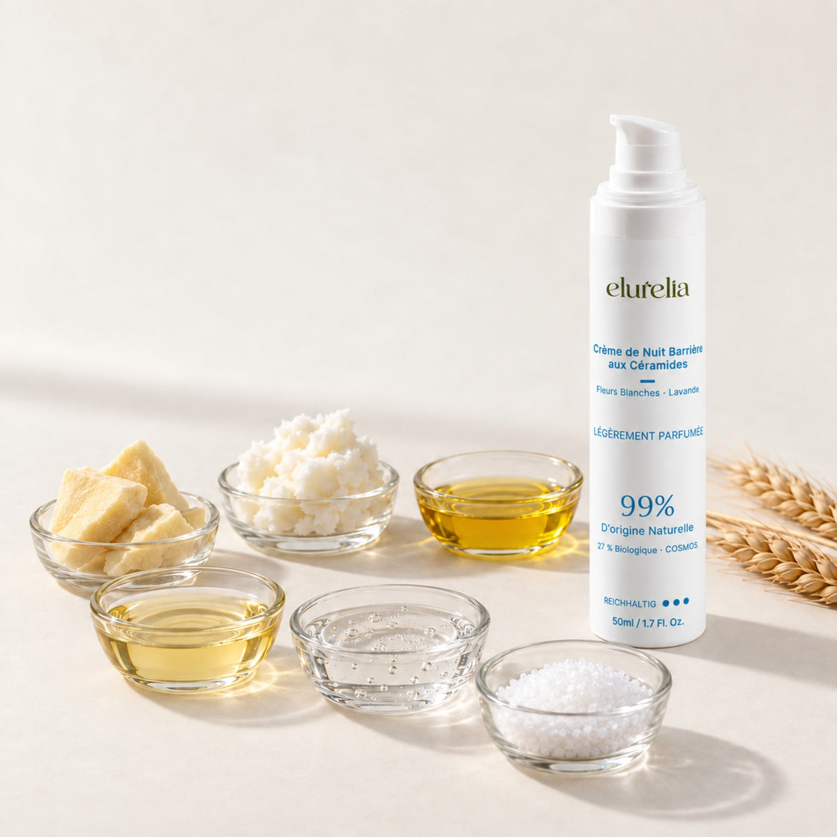 Crème de nuit aux céramides