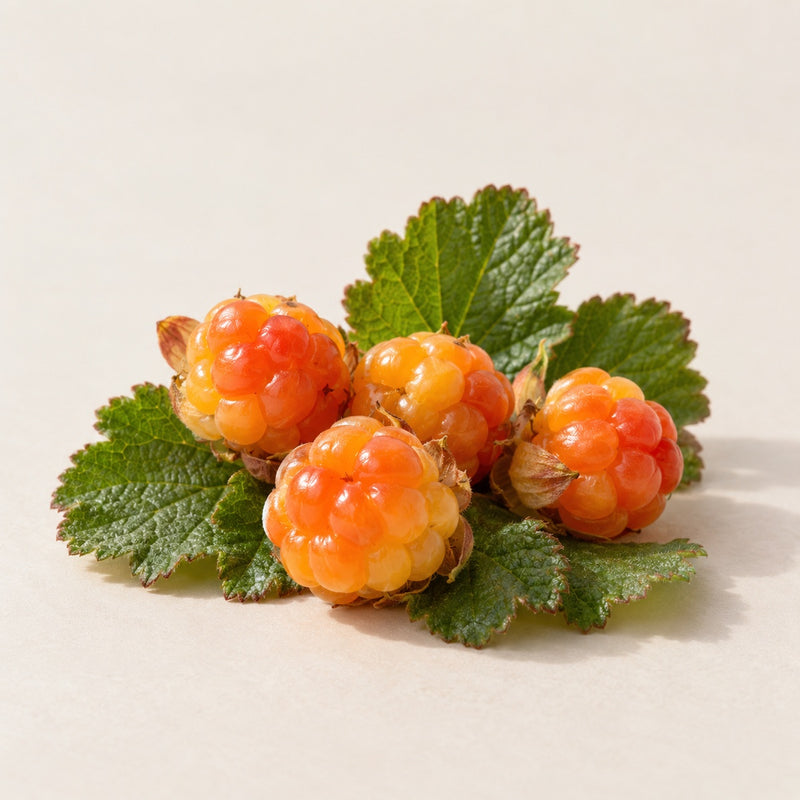 Fragrance-Free Rich Cream