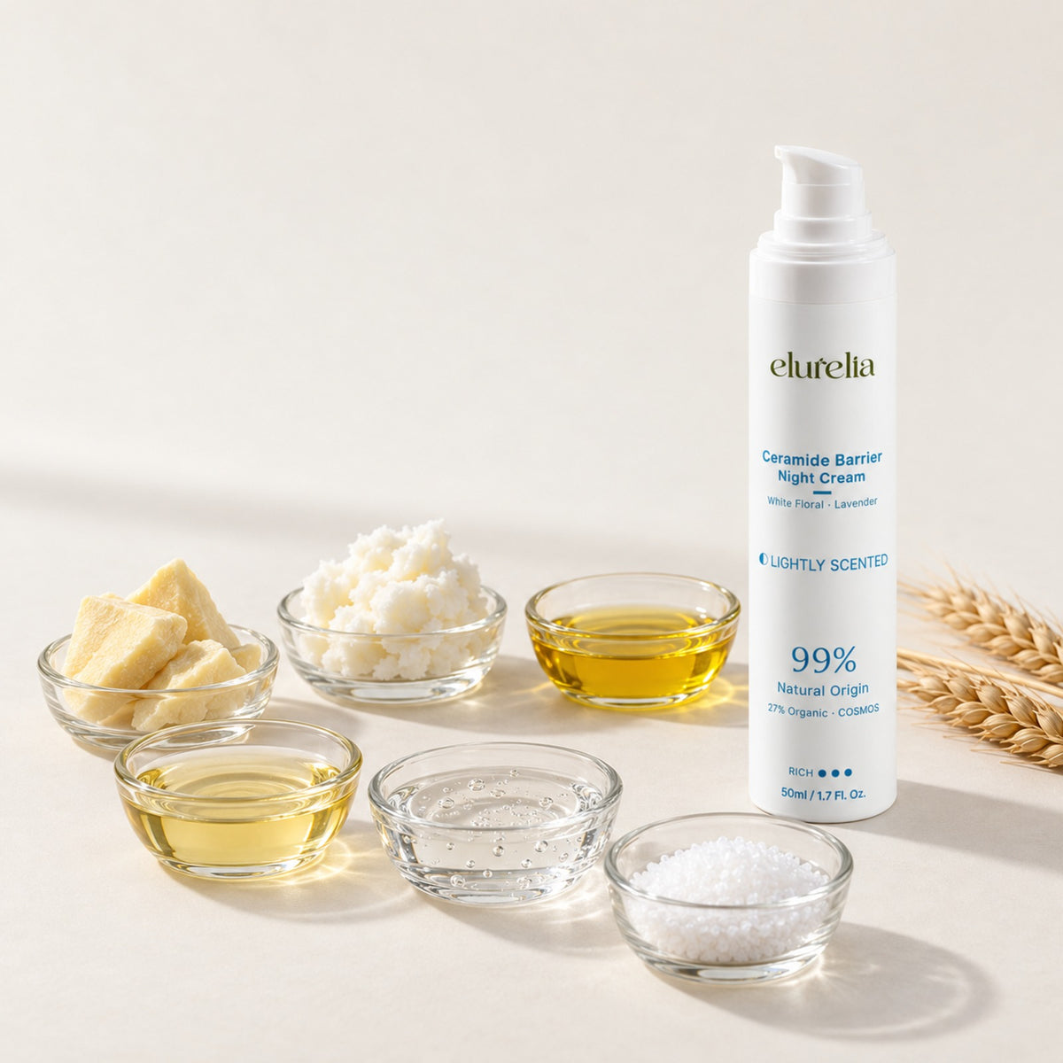 Ceramide Barrier Night Cream