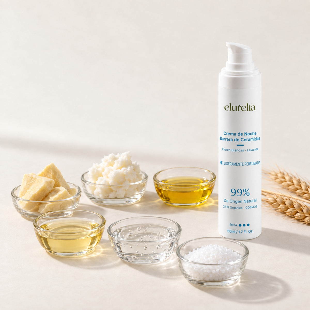 Crema de noche con ceramidas