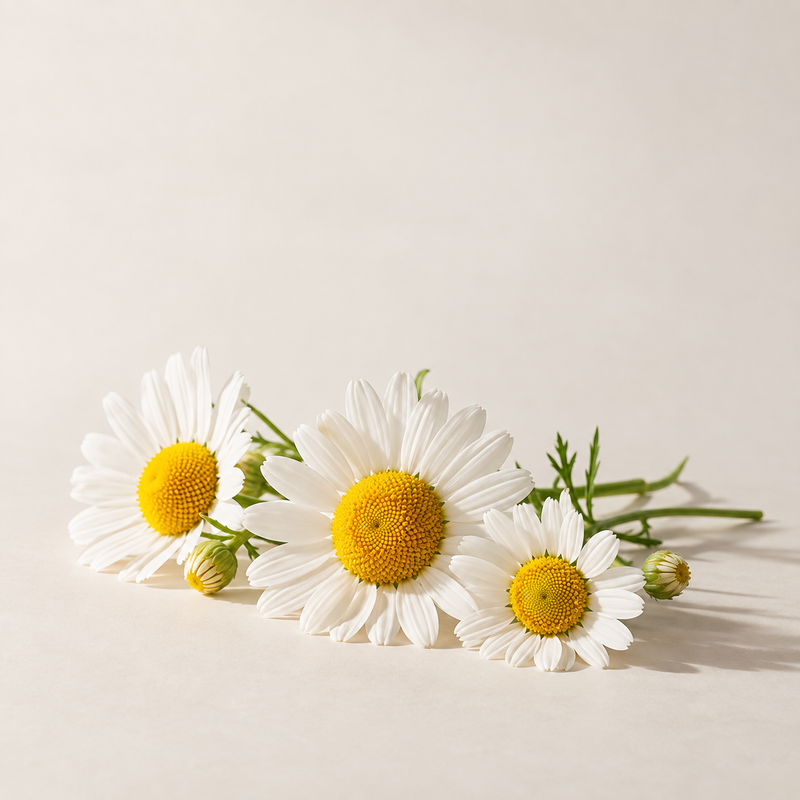 Fragrance-Free Biphasic Make-up Remover