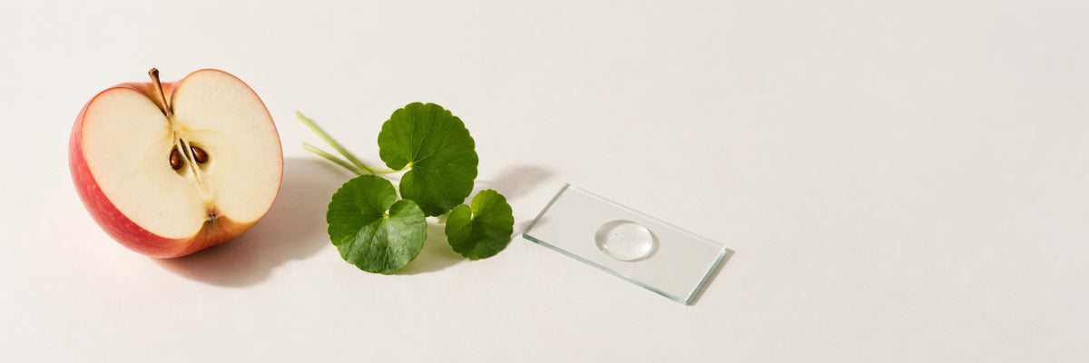 Sérum de niacinamida sin perfume